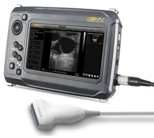 Hand-held veterinary ultrasound system BestScan® S6 Linear-Array Vet
